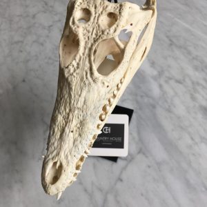 Exclusieve objecten - rendiervachten