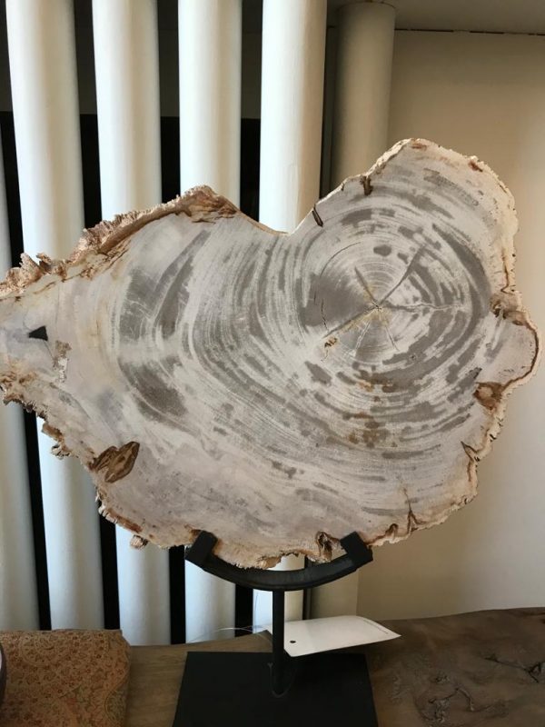 Versteend hout (beige) op voet